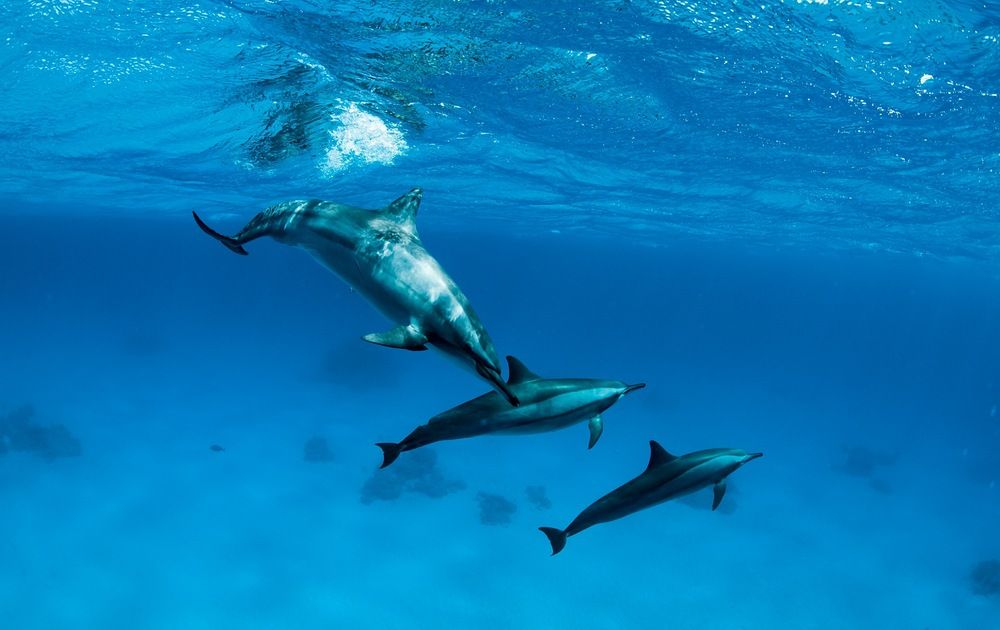 Photograph by Karasev Pavel