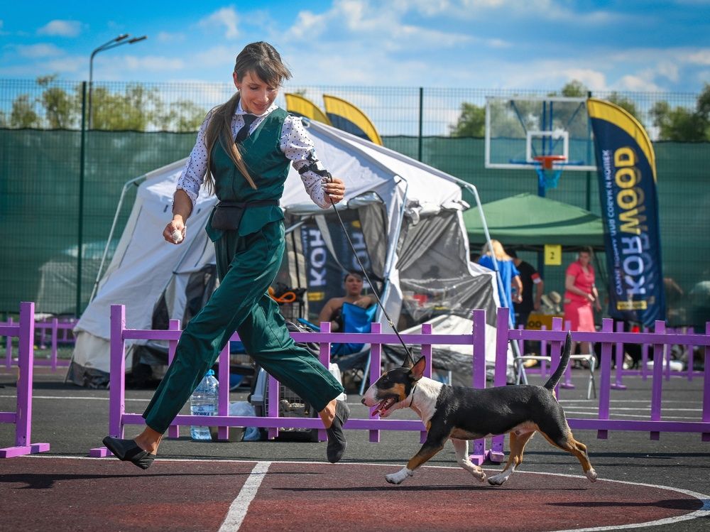 Фотография автора Дмитрий Дуров