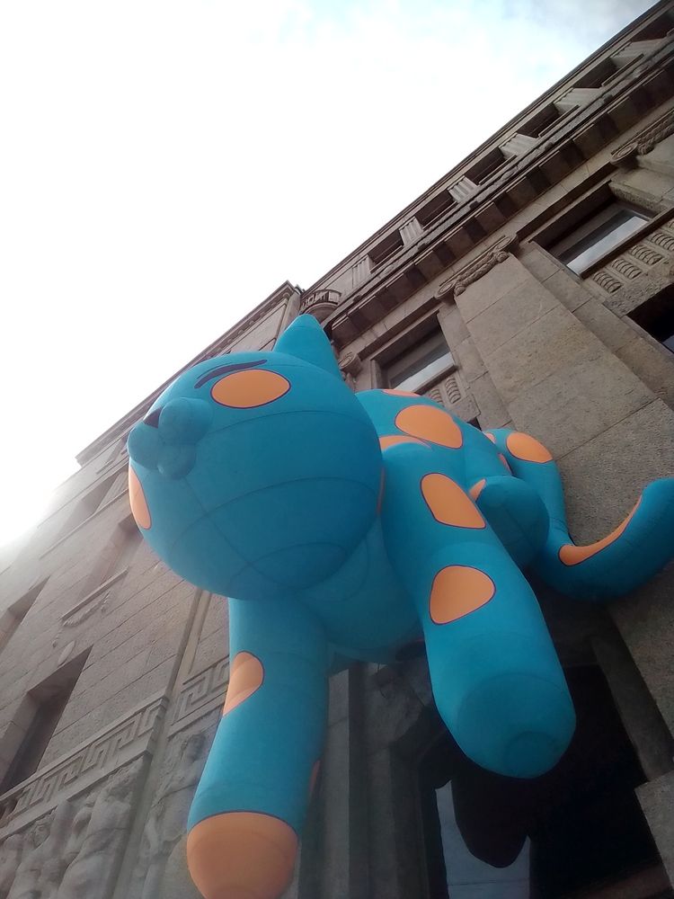 Photograph by Irina Mihailovskaya