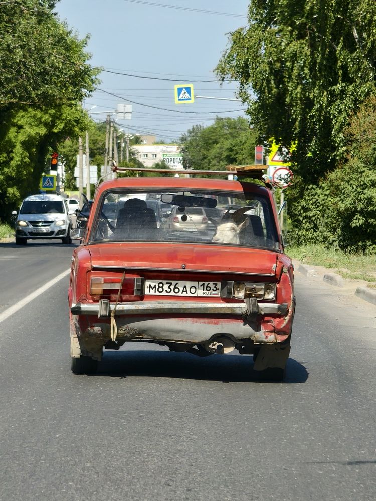 Фотография автора Olga Shchetinina