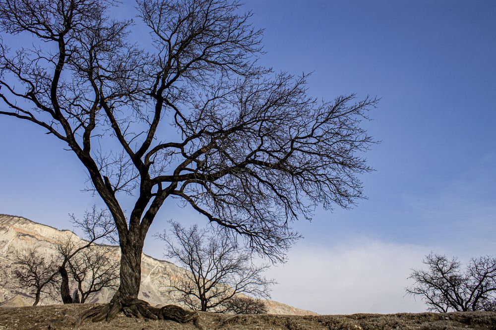 Photograph by Елена Ковальчук