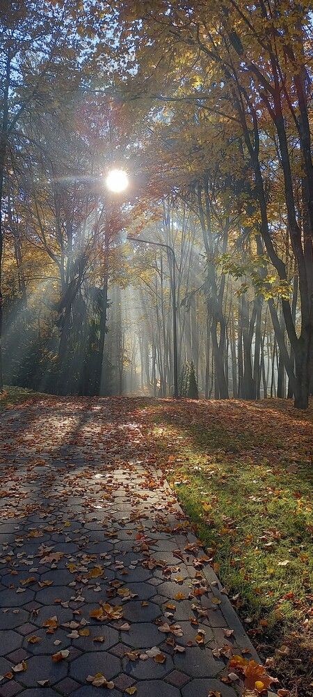 Photograph by Татьяна Зиновенко