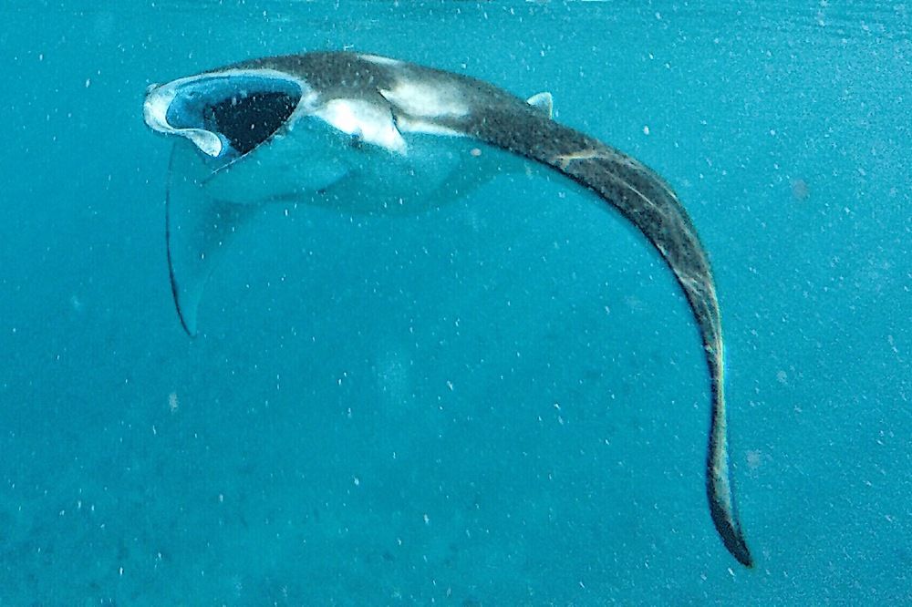 Photograph by Илья Ушак