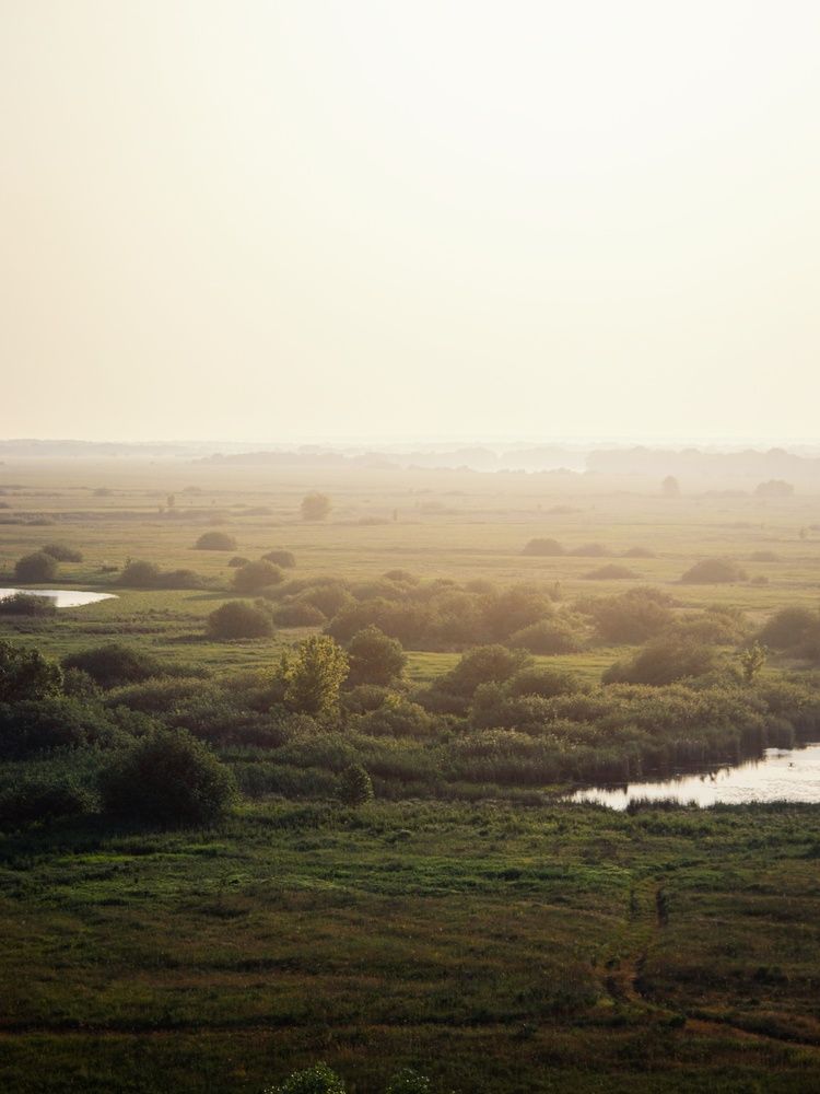 Photograph by Анна Любимова