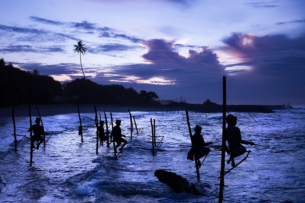 Photograph by Mahlagha Zarabian