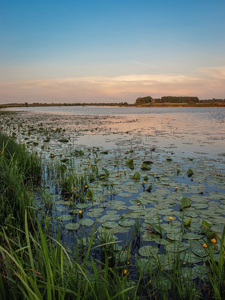 Photograph by Анна Любимова