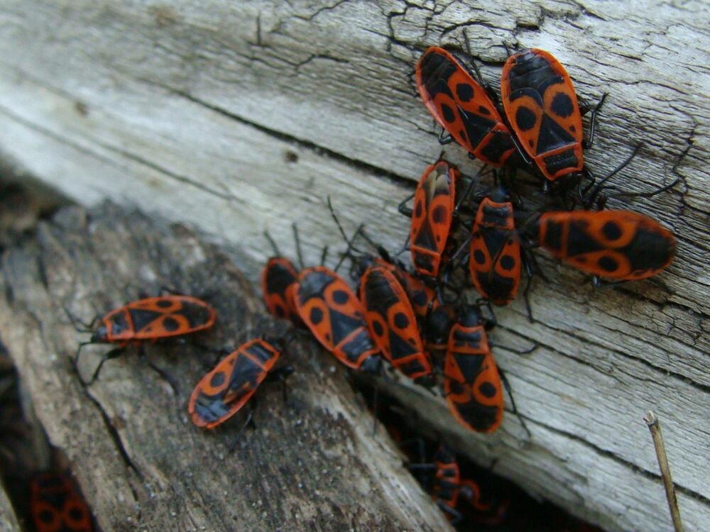 Фотография автора Павел Попов