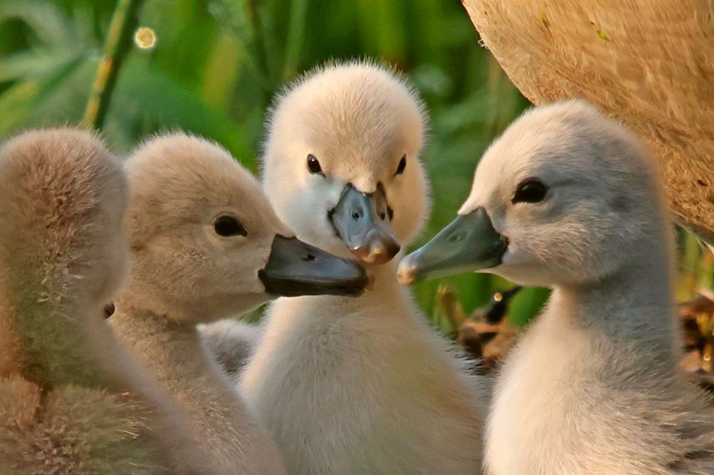 Photograph by Дмитрий Пасынков