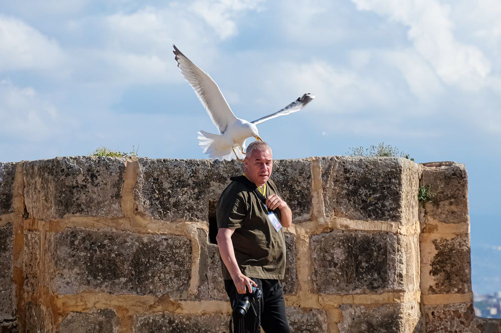 Фотография автора Ilyes Benaissa