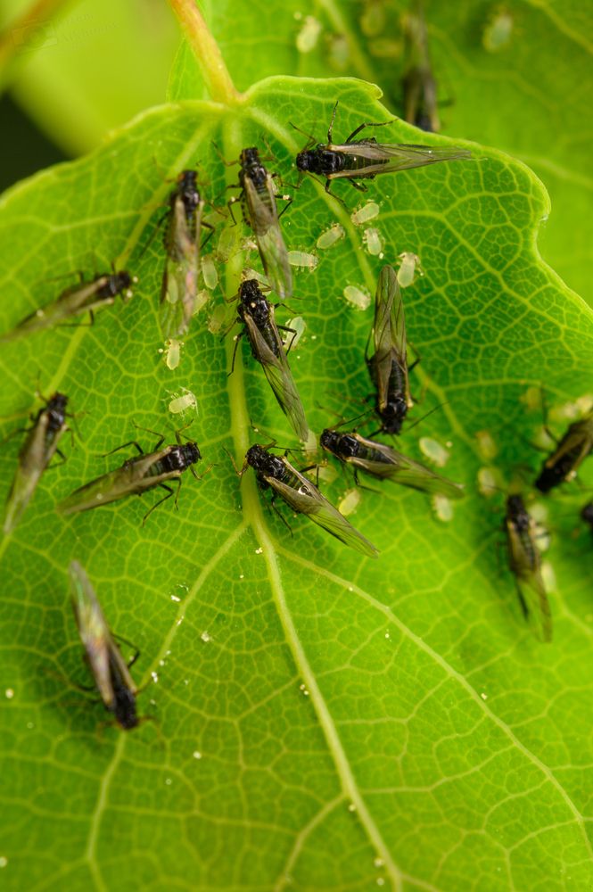 Photograph by Артем Алхимов