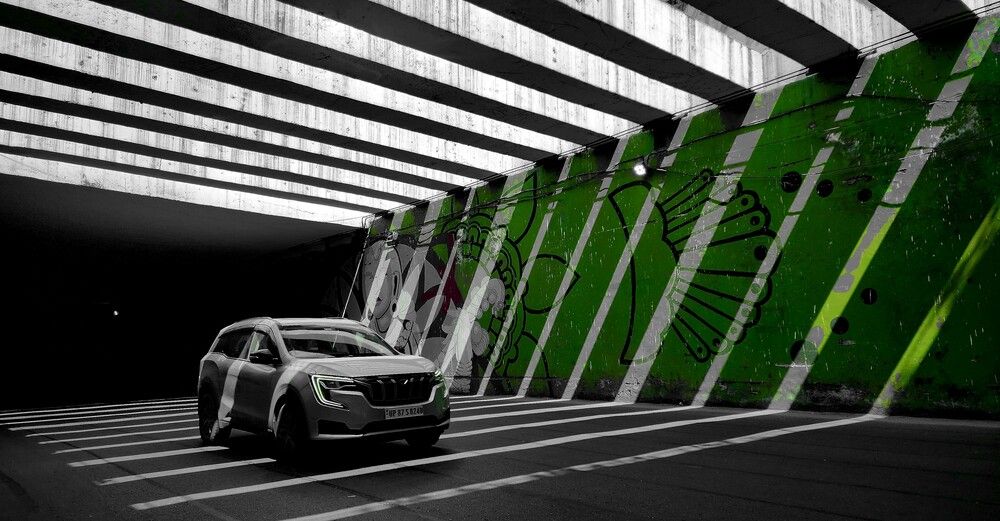 Photograph by G GOVIL