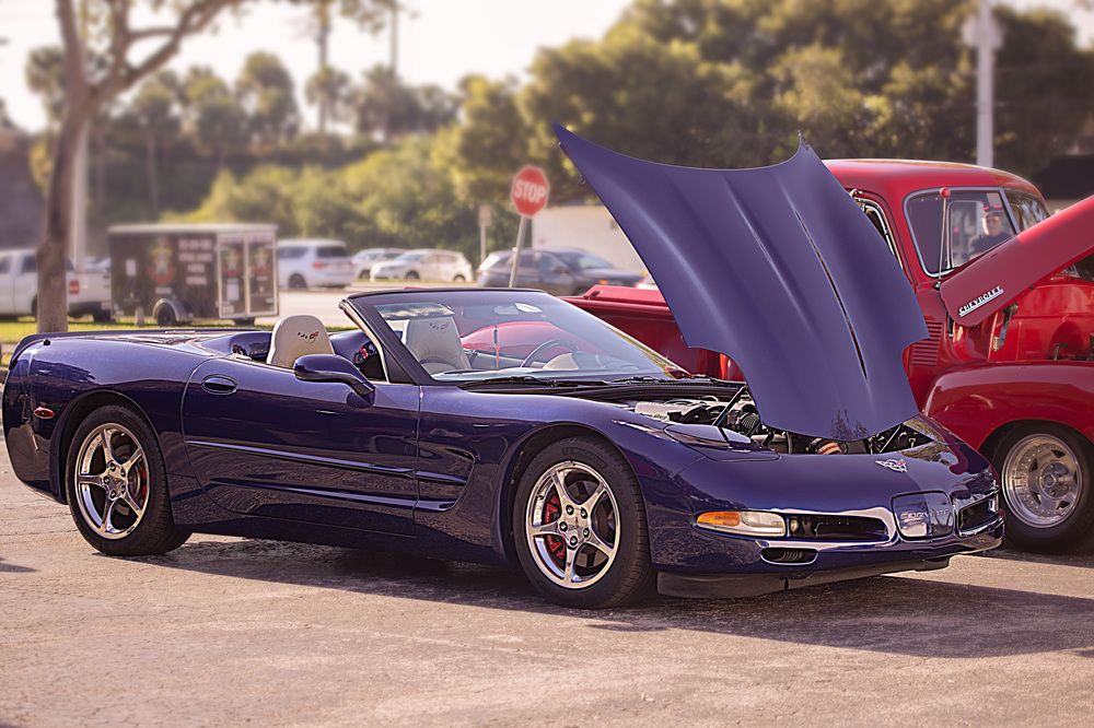 Фотография автора Татьяна Анпилова