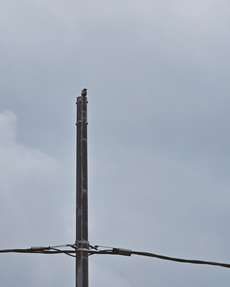 Photograph by шитиков никита