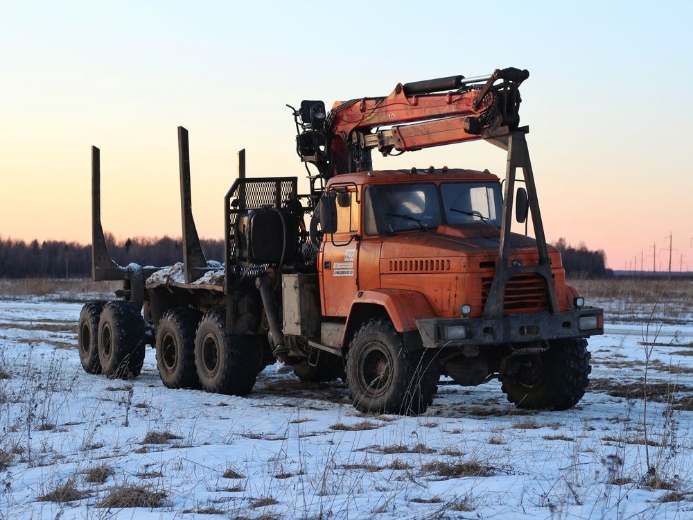 Фотография автора Андрей Шестаков