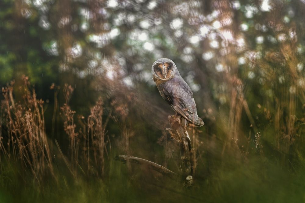 Photograph by Michaela Firešová