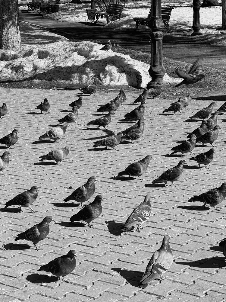 Photograph by Ксения Юртаева