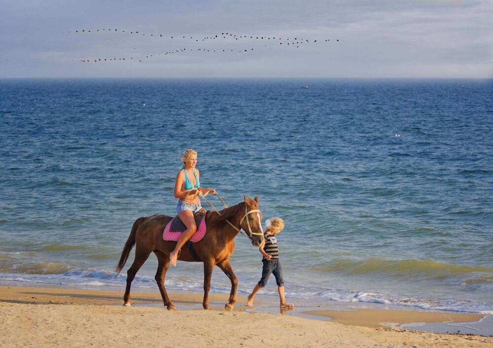 Photograph by Владимир Кваша