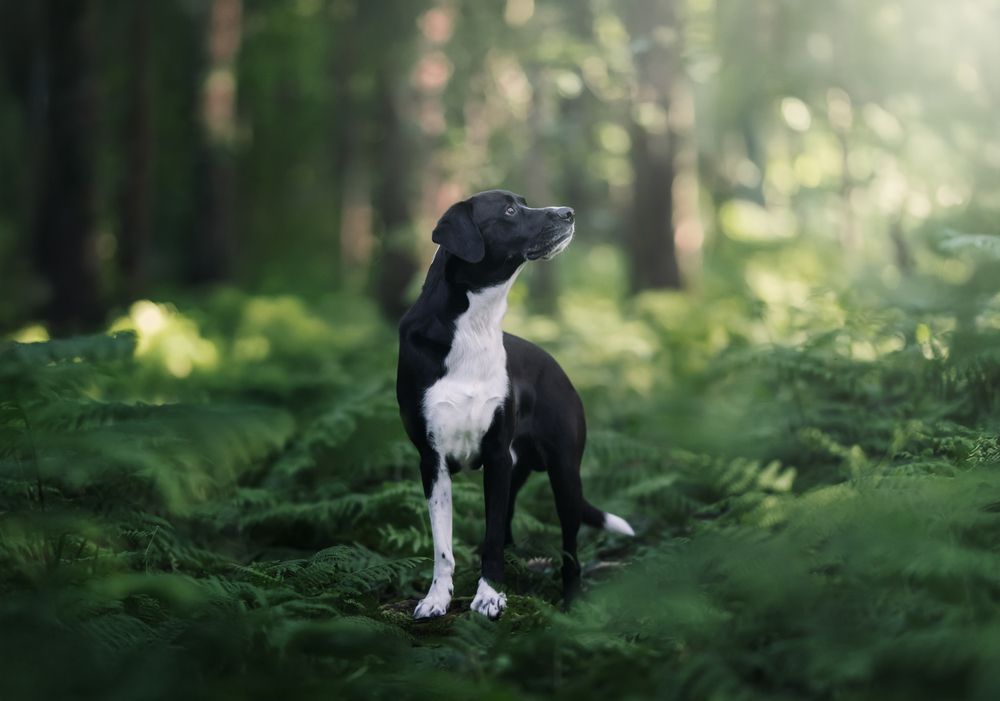 Photograph by Alfonso Maseda Varela