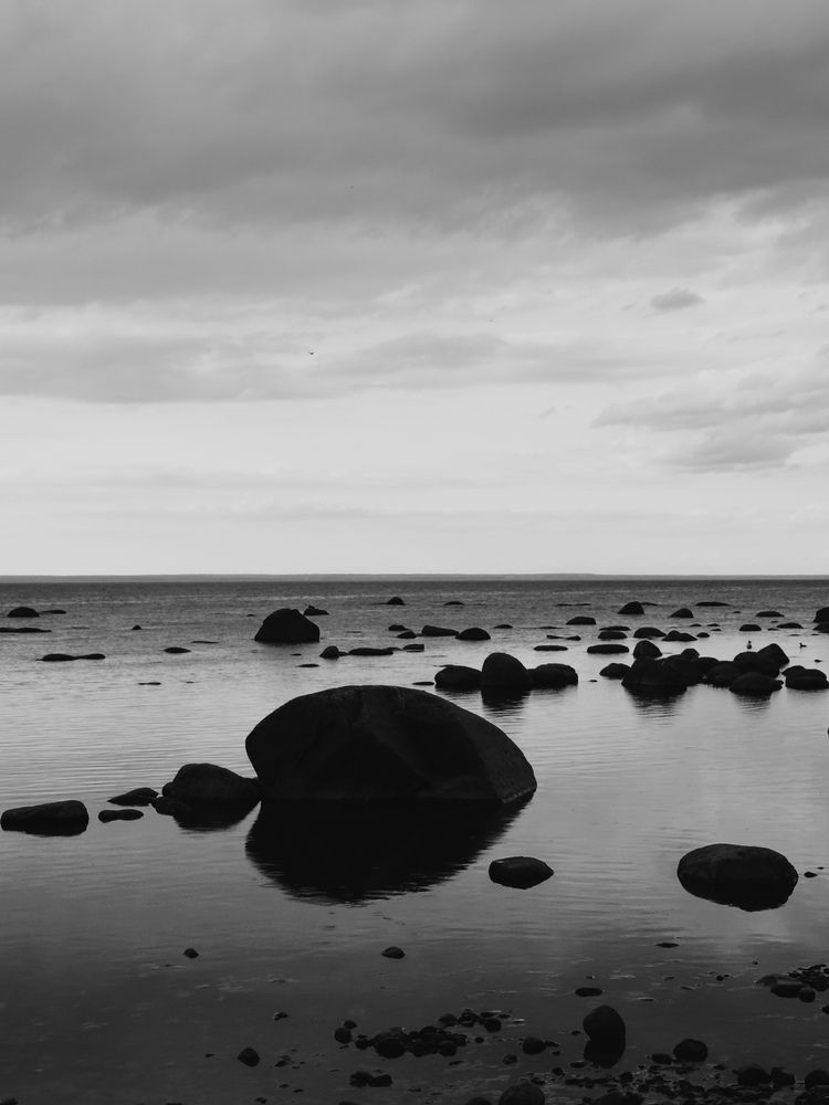 Photograph by Алиса Нежинская