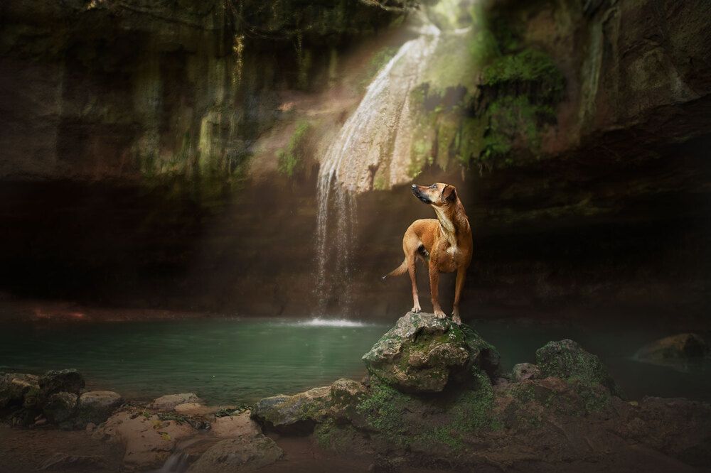 Photograph by Pouliquen Gwendoline