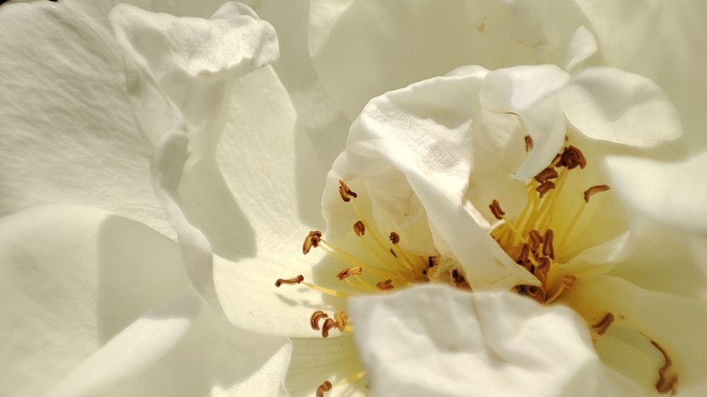 Photograph by Калюнова Наталья