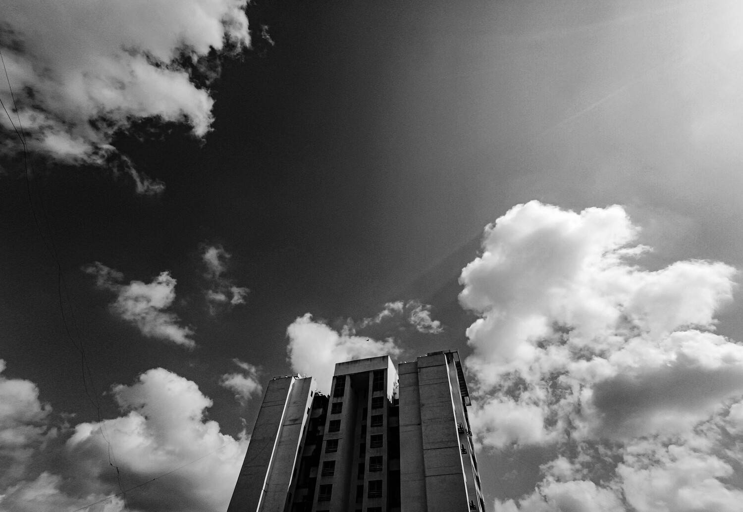 Photo #12272679