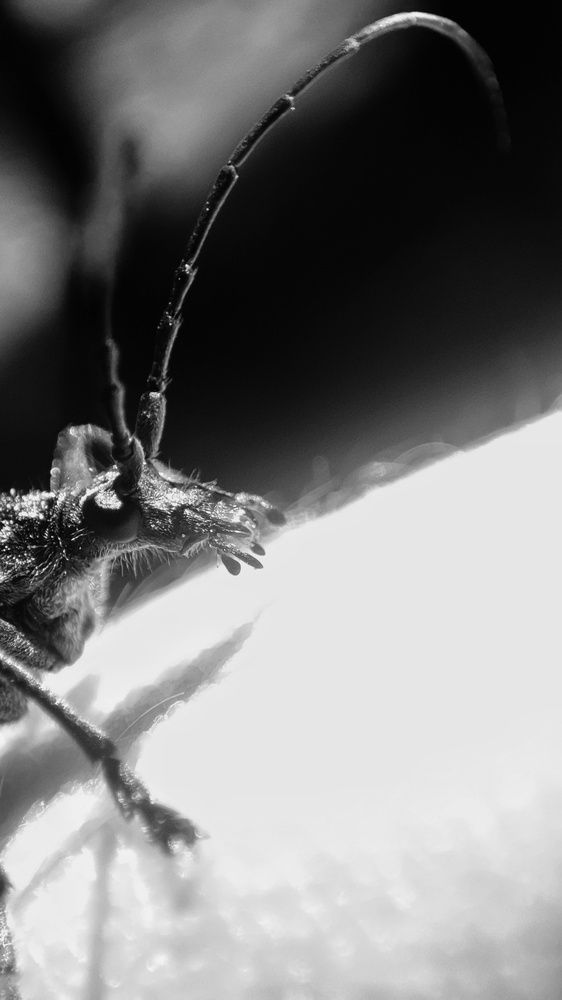 Фотография автора Калюнова Наталья