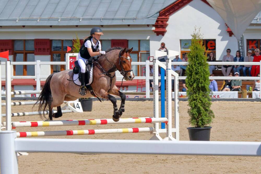 Фотография автора Светлана Долотова