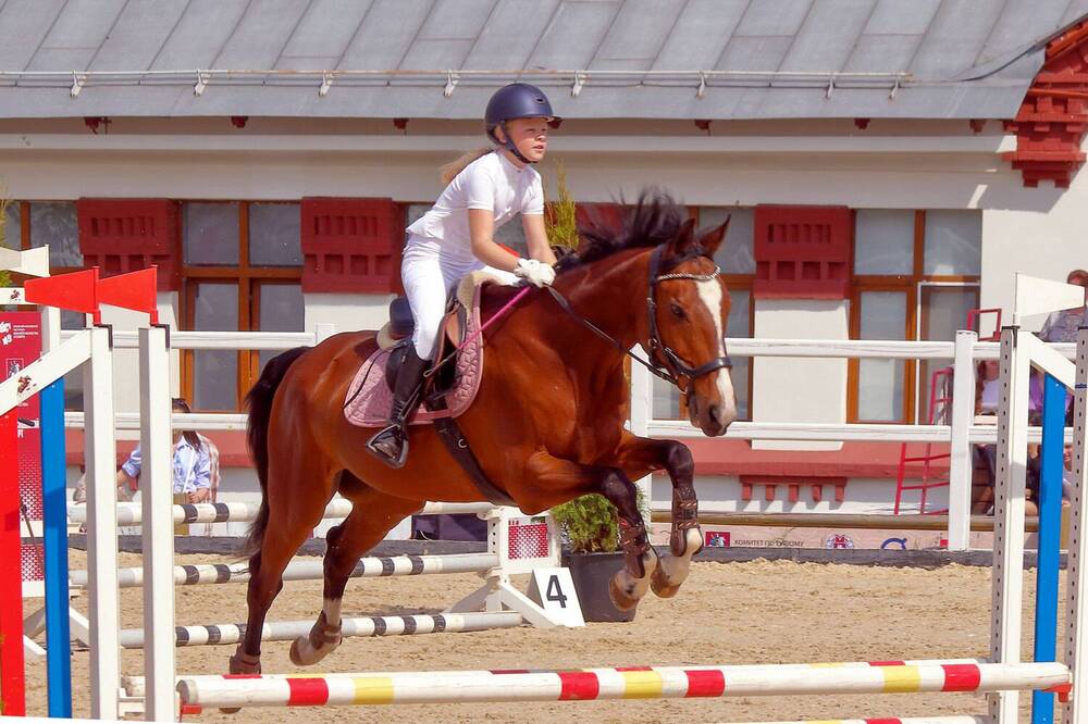 Фотография автора Светлана Долотова