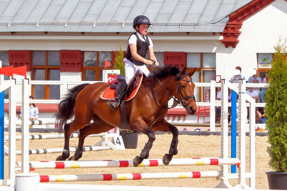 Фотография автора Светлана Долотова