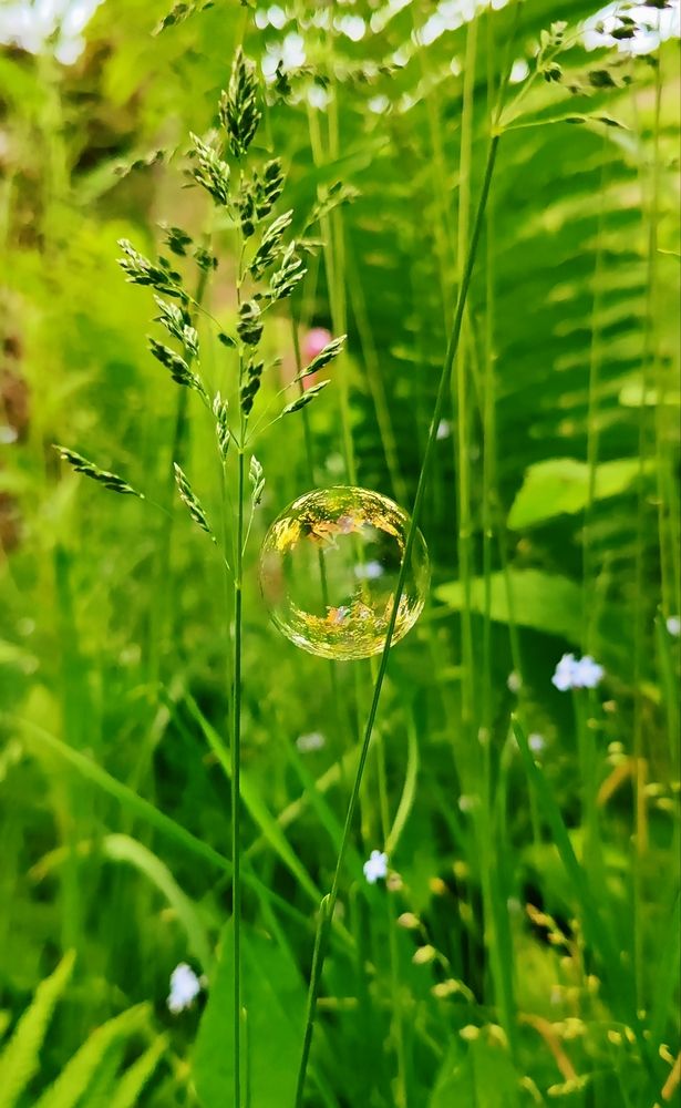 Photograph by Луценко Роман