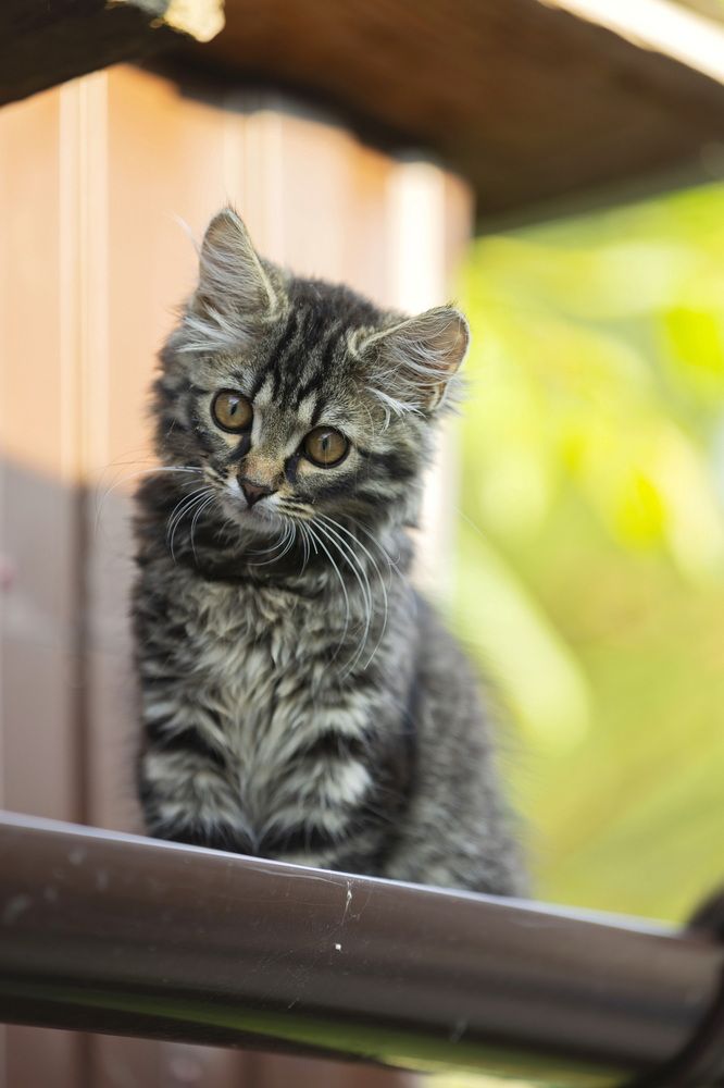 Photograph by Сивакова Виктория