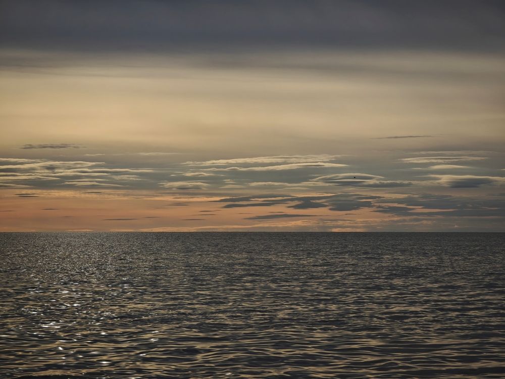 Фотография автора Наташа Данилова