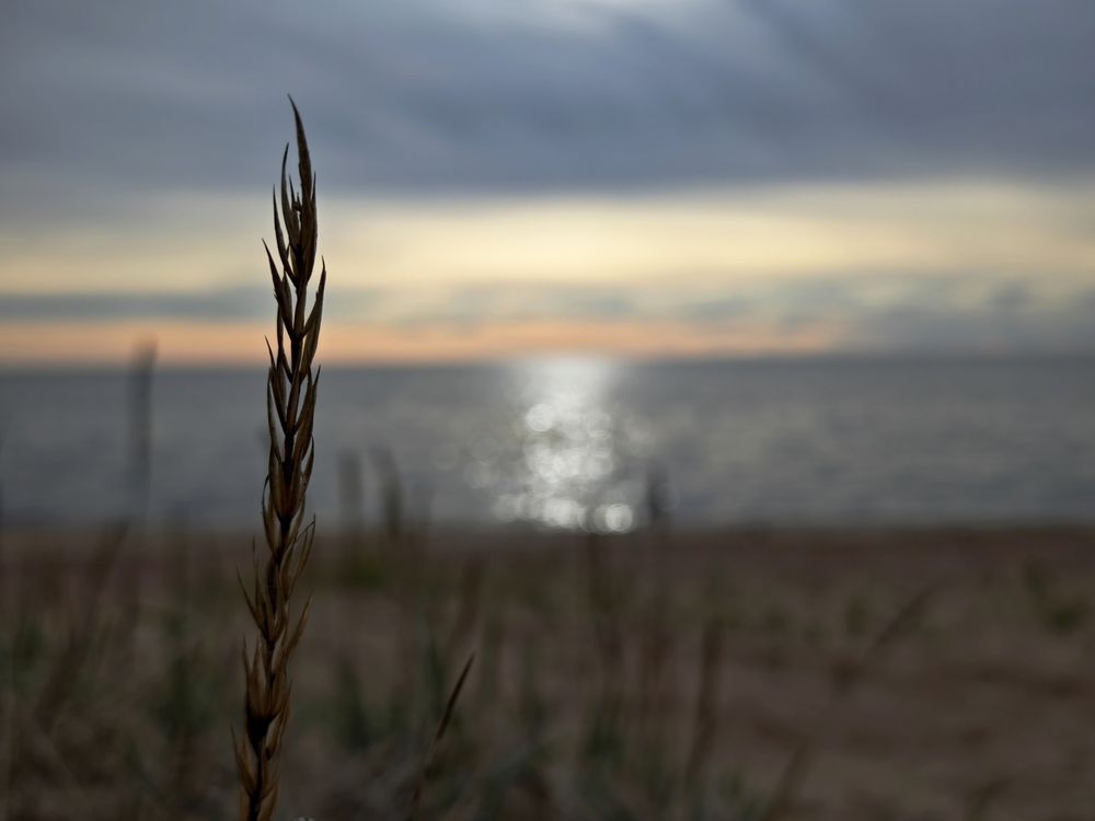 Фотография автора Наташа Данилова