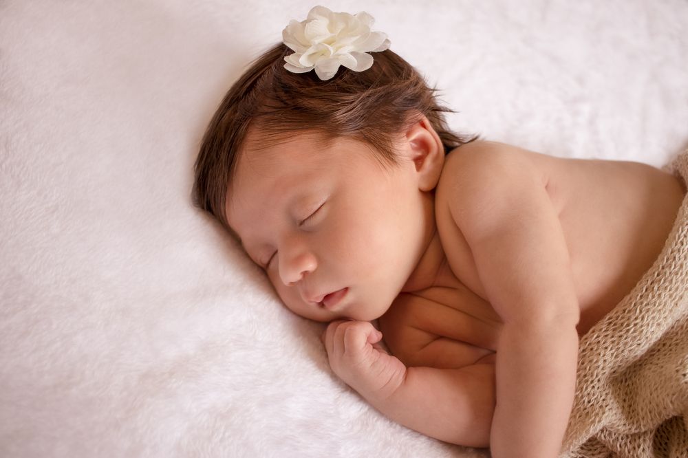 Фотография автора Stheffi Klein