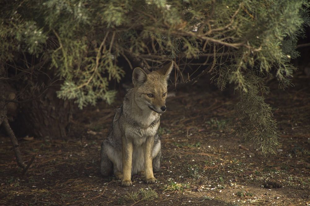 Photograph by Dario Rivero