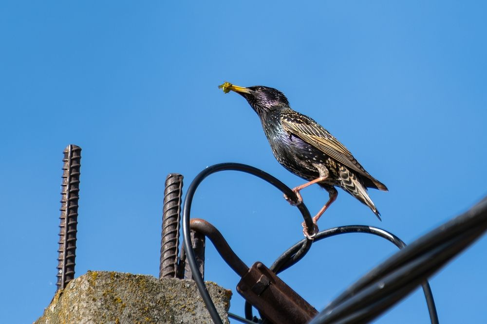 Photograph by Михаил Косолапов