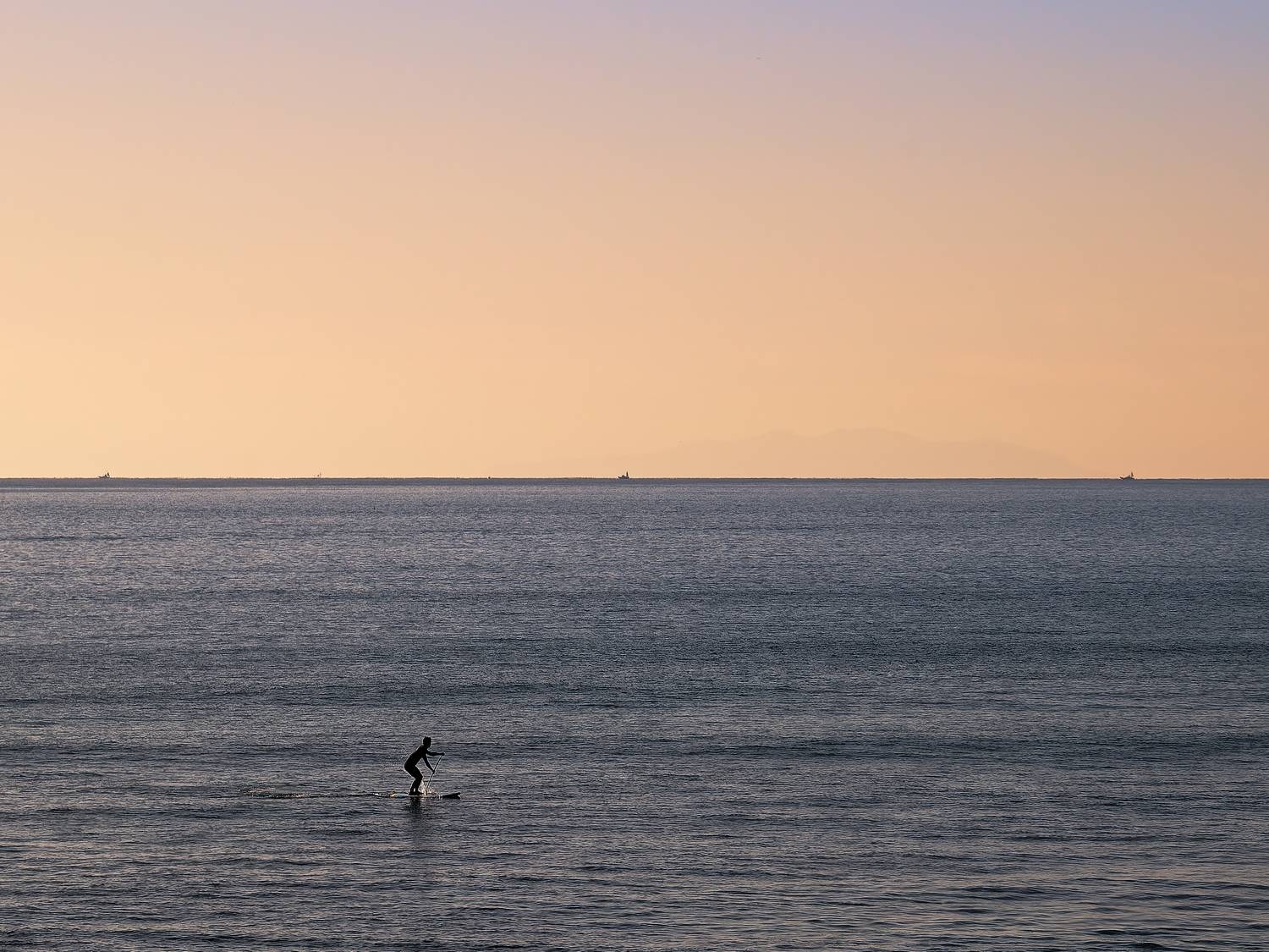 Photo #12273293