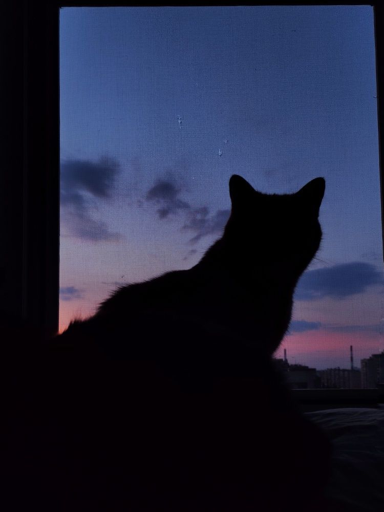 Photograph by Калюнова Наталья