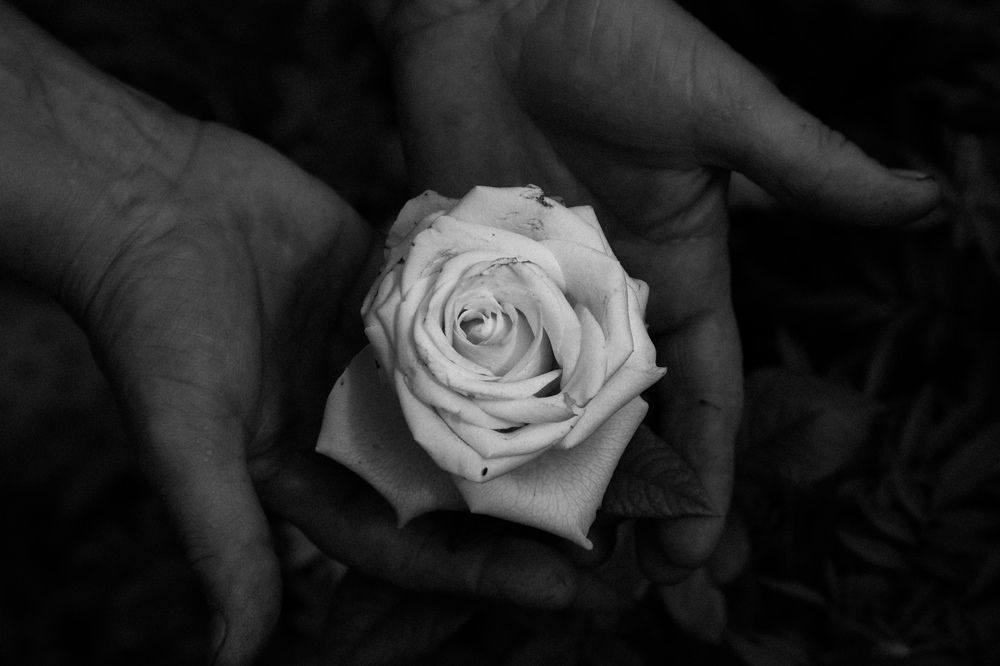 Photograph by Кульчицкий Андрей