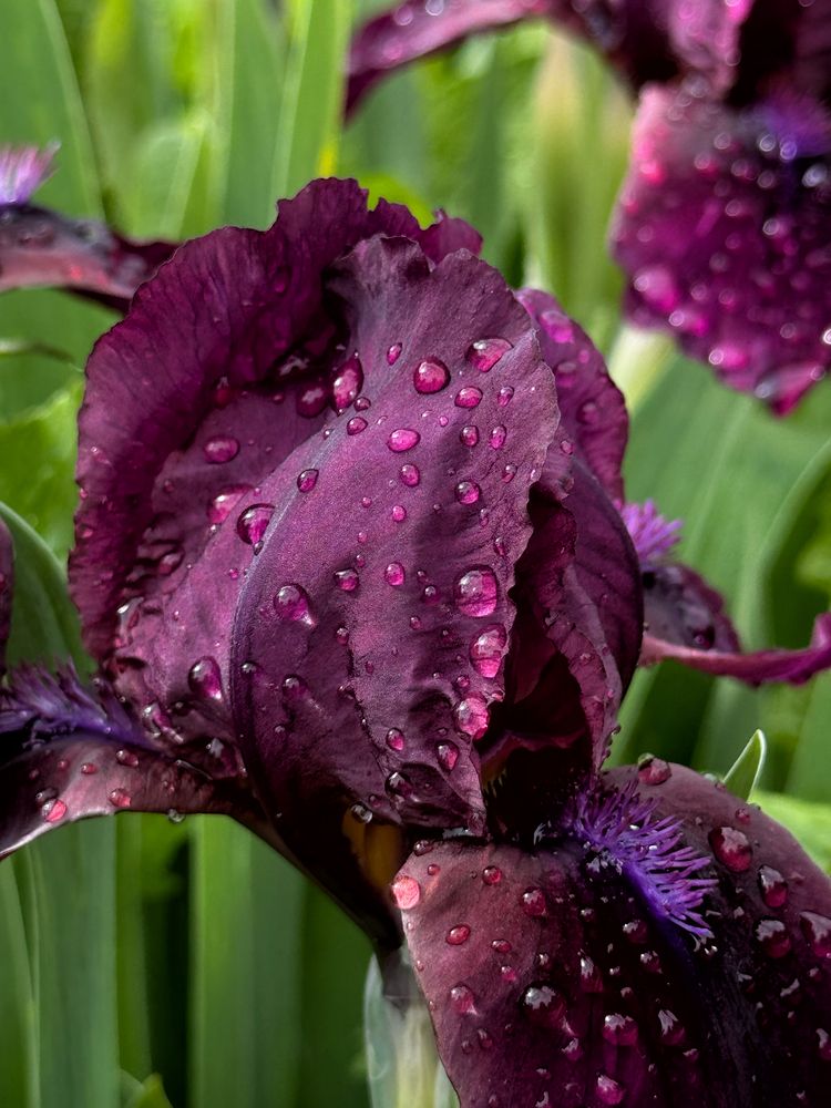 Photograph by Groznetskaya