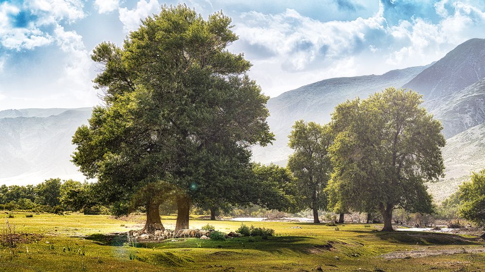 Photograph by Karpenko Denis