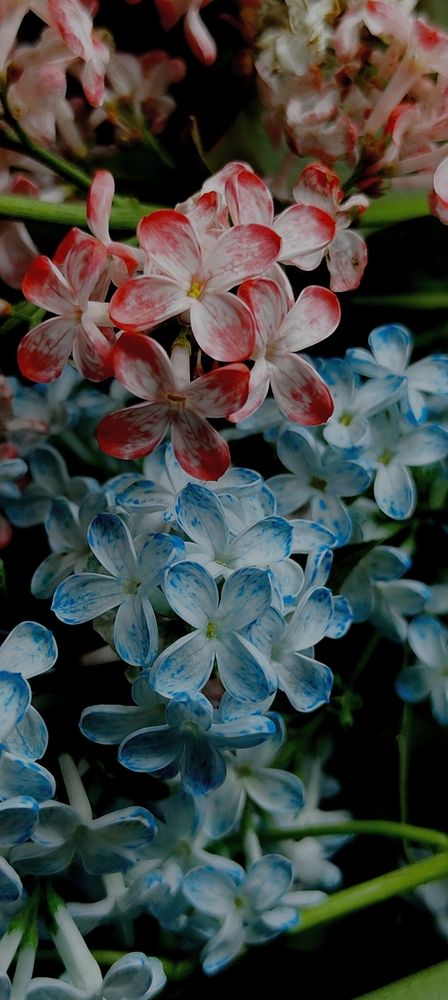 Photograph by Дарина Ворошилова