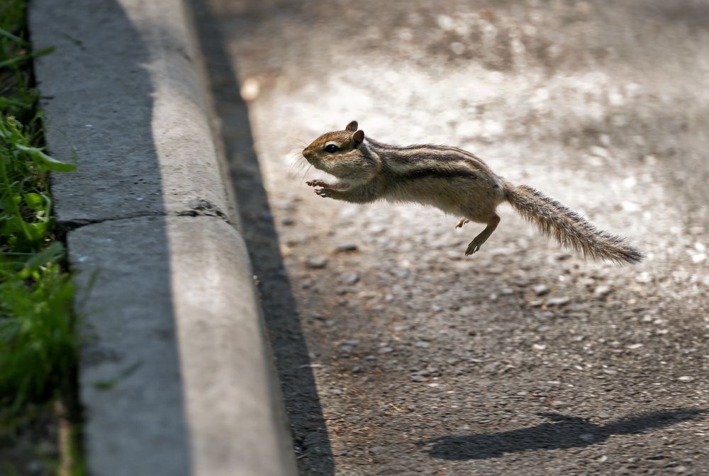 Photograph by Игорь Шадрин