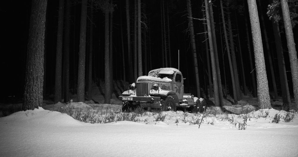 Photograph by ЕВГЕНИЙ СКАЛОЗУБОВ