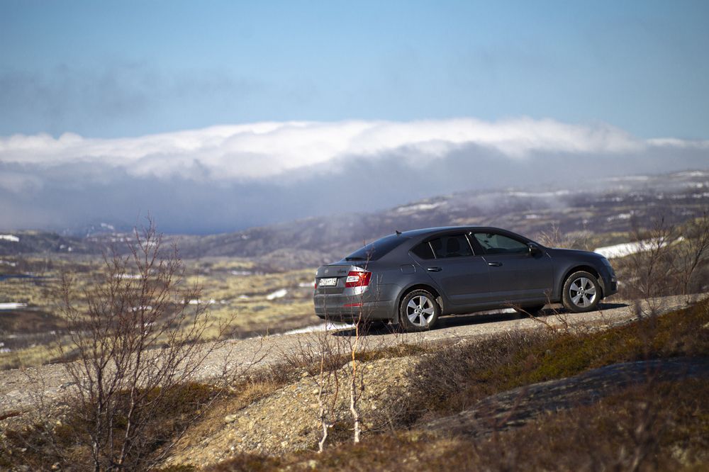 Photograph by ЕВГЕНИЙ СКАЛОЗУБОВ