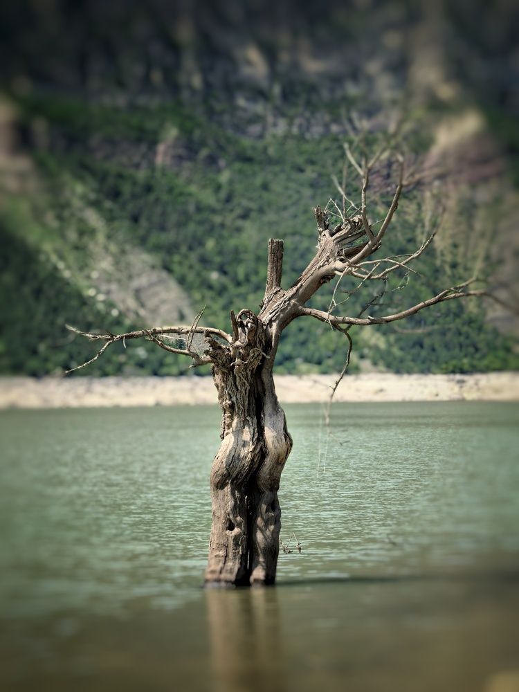 Photograph by Кривенко Владимир