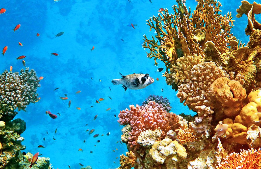 Photograph by Marjo Steffen