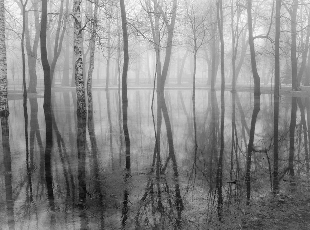 Photograph by Сергей Григорьев