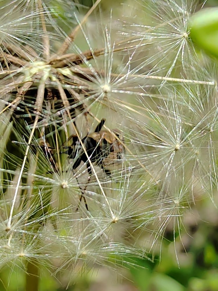 Photograph by Ольга